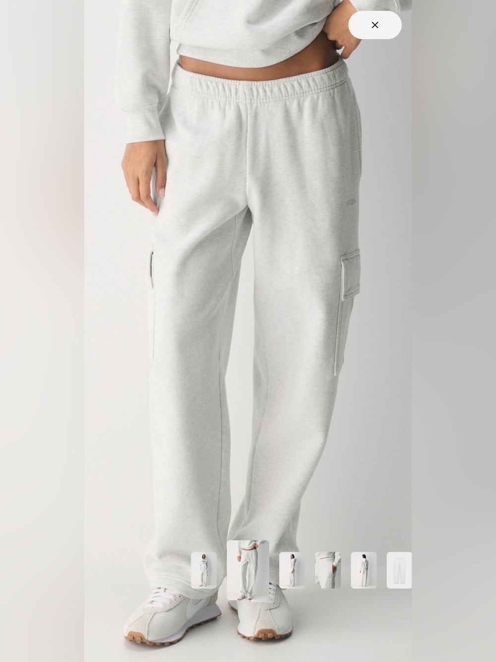 Aritzia Cozy Sweatfleece Mega Cargo Sweat pant